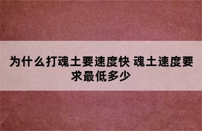 为什么打魂土要速度快 魂土速度要求最低多少